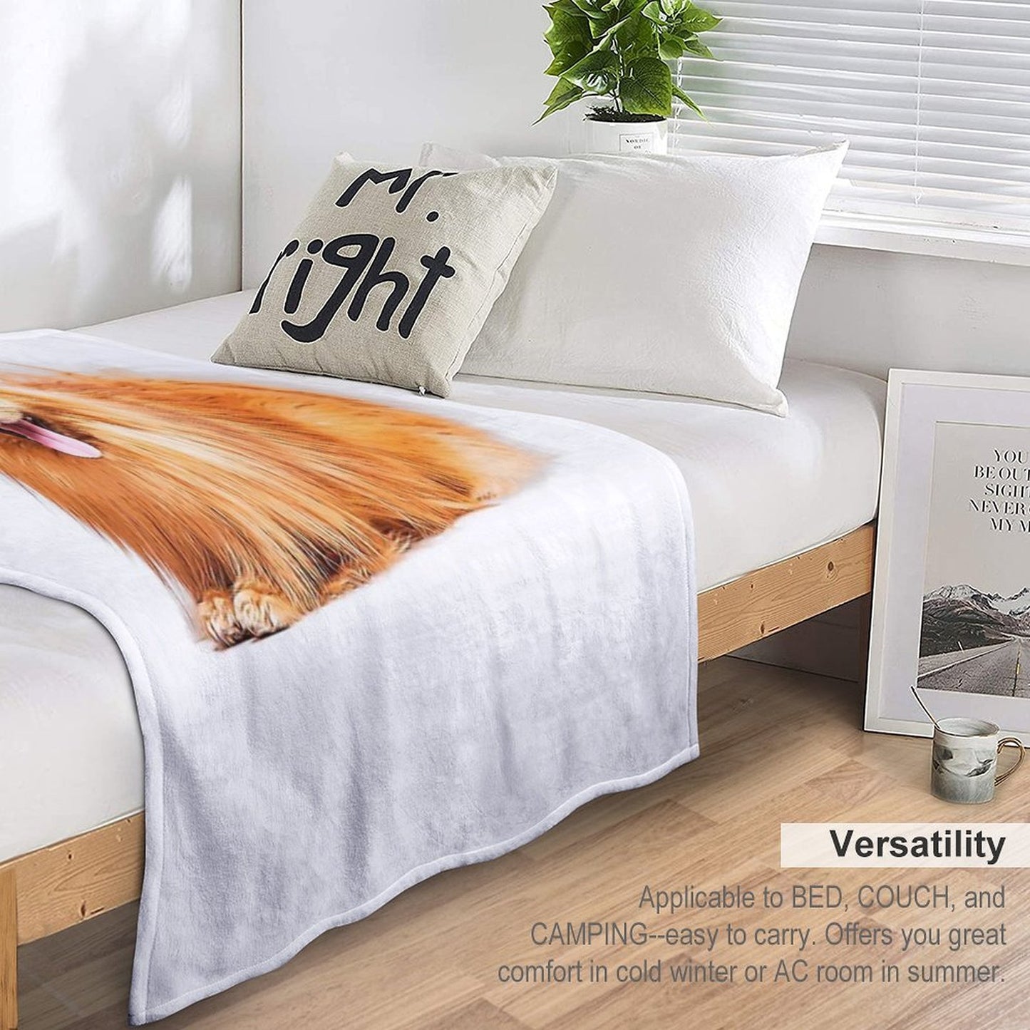Cute Red Pomeranian Wrinkle-free Throw Blanket