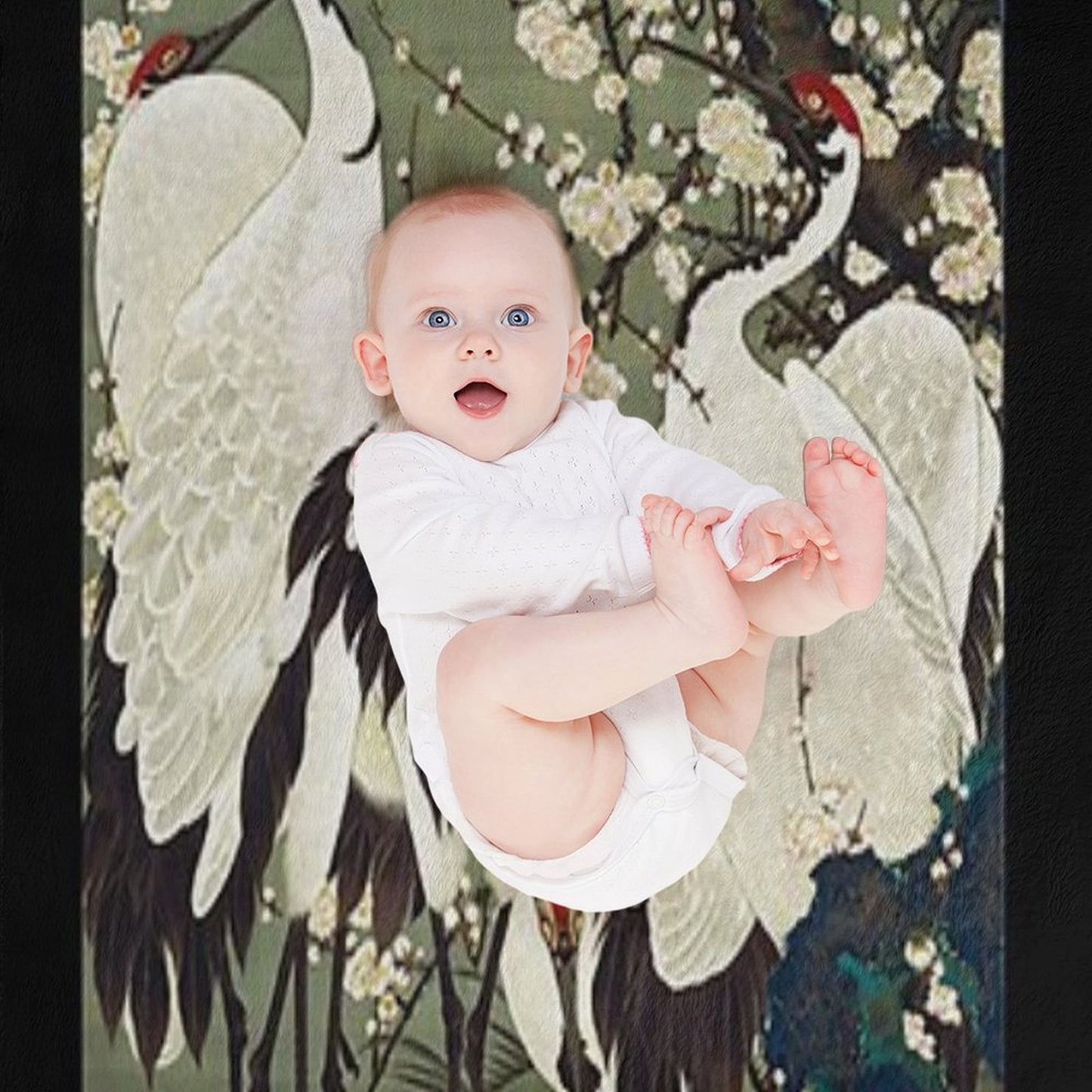 Favourite Artist - Plum Blossoms And Cranes - Ito Jakuchu Premium Throw Blanket