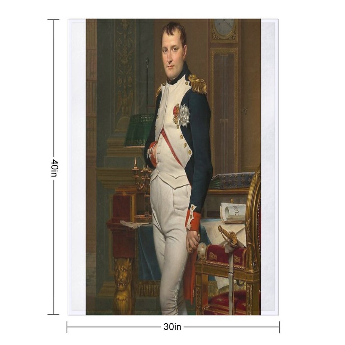 Napoleon Bonaparte Portrait Anti-pilling Throw Blanket