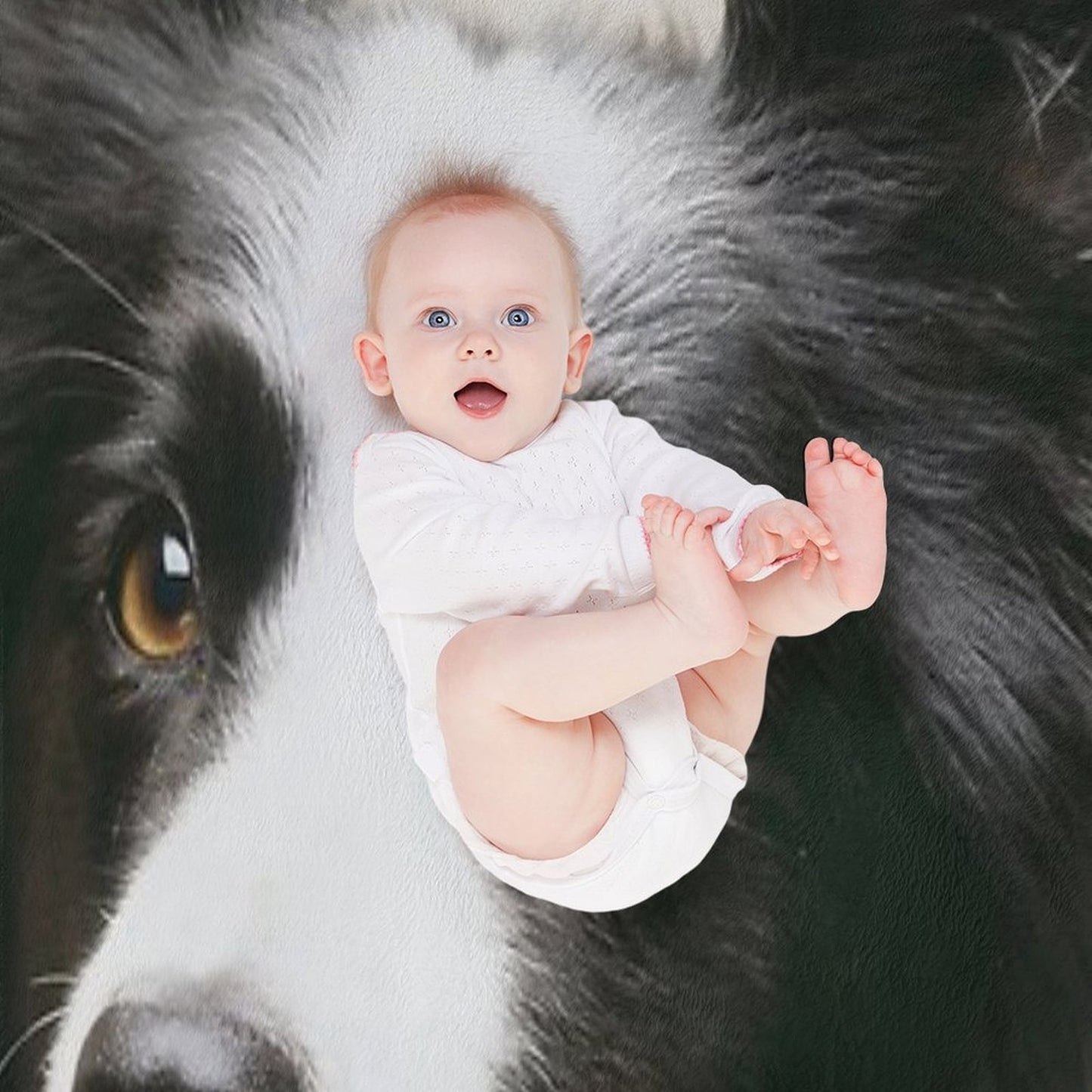 Working Border Collie Wrinkle-free Throw Blanket