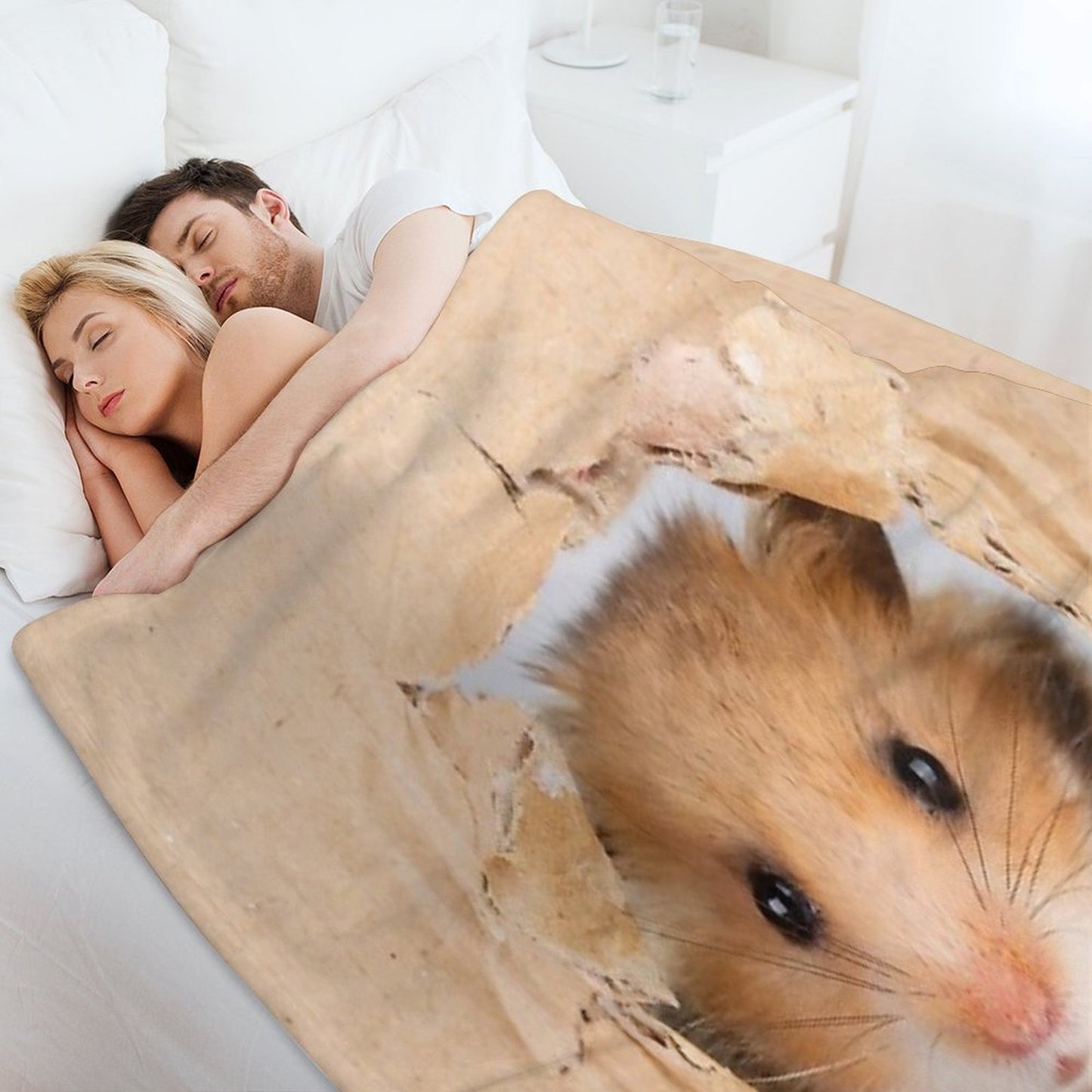 Cute Hamster Multi-functional Throw Blanket