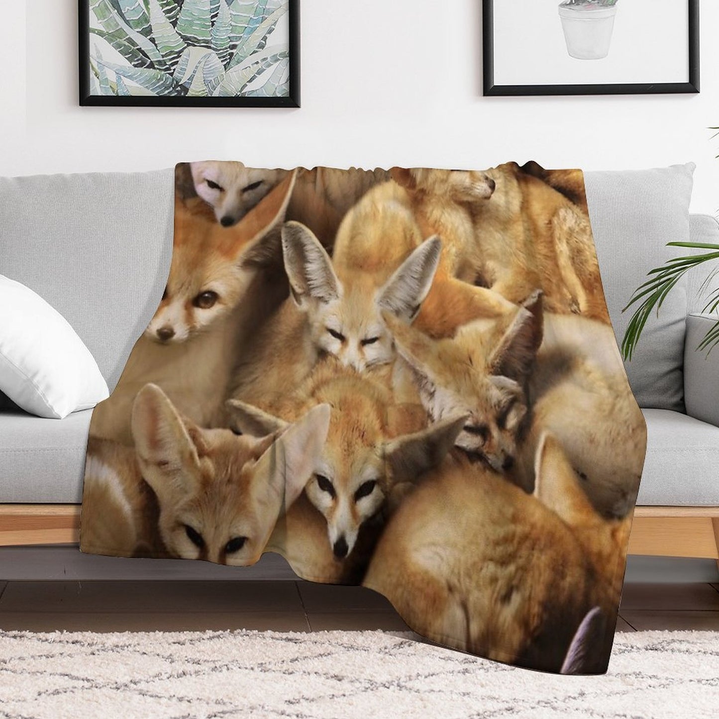 Fennecs Anti-pilling Throw Blanket