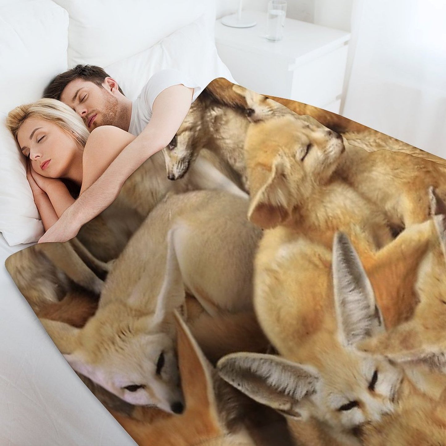 Fennecs Anti-pilling Throw Blanket