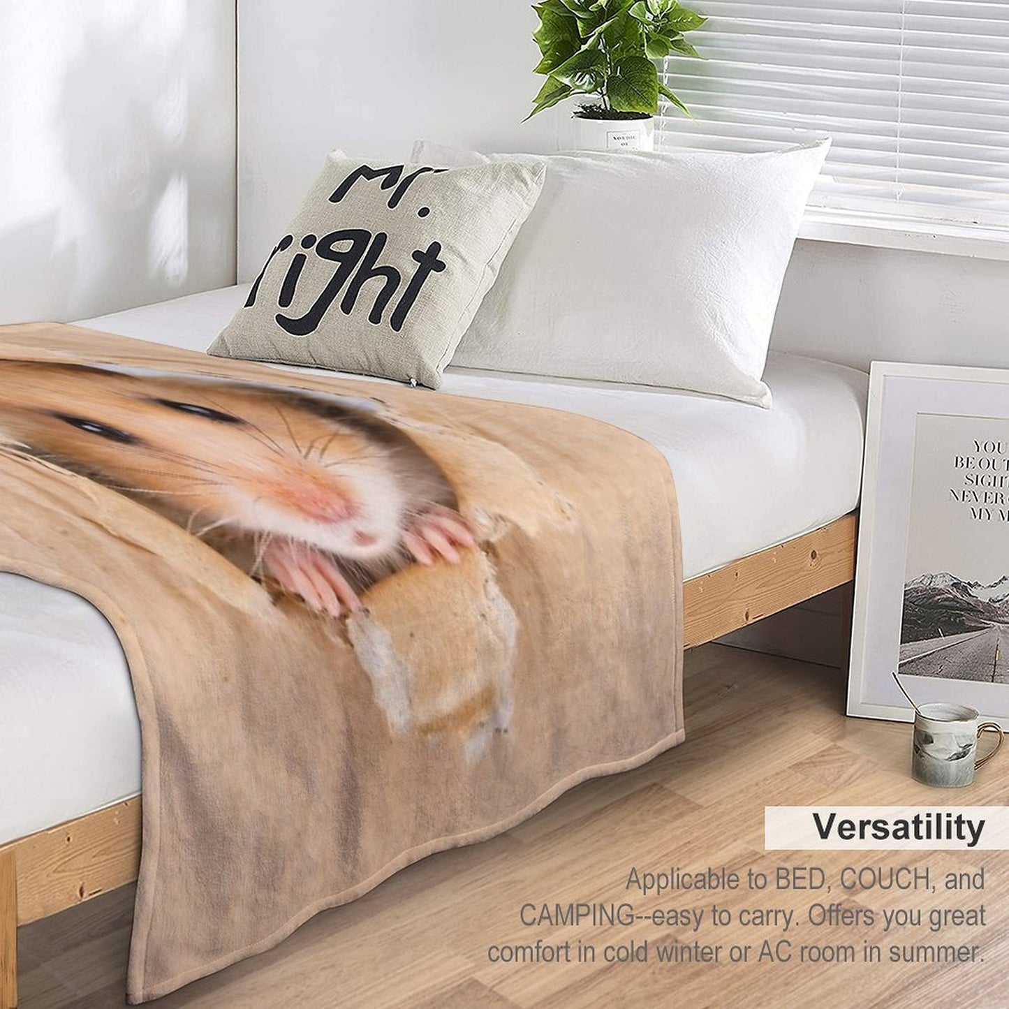 Cute Hamster Multi-functional Throw Blanket