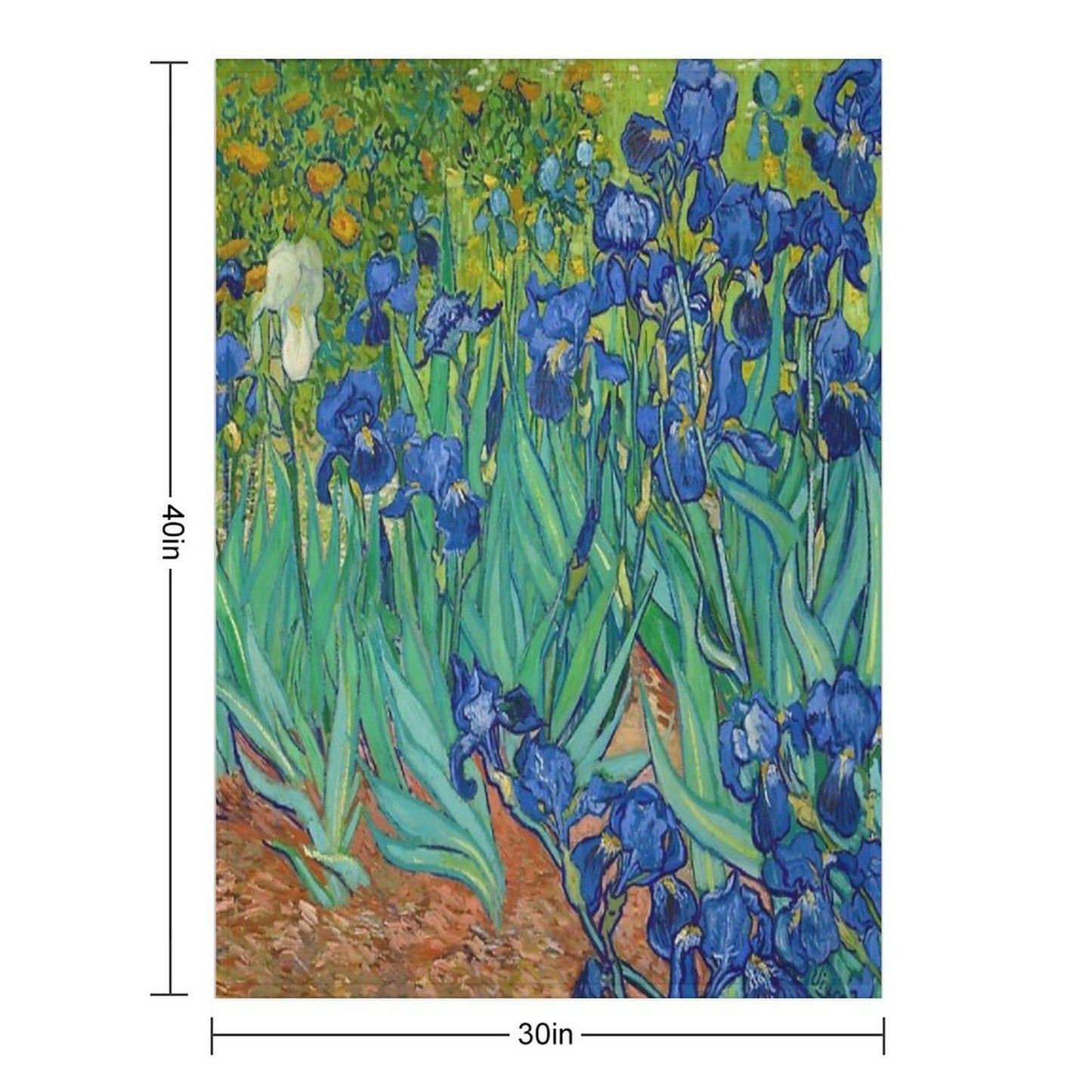 Irises by Vincent Van Gogh (May 1889) Premium Throw Blanket