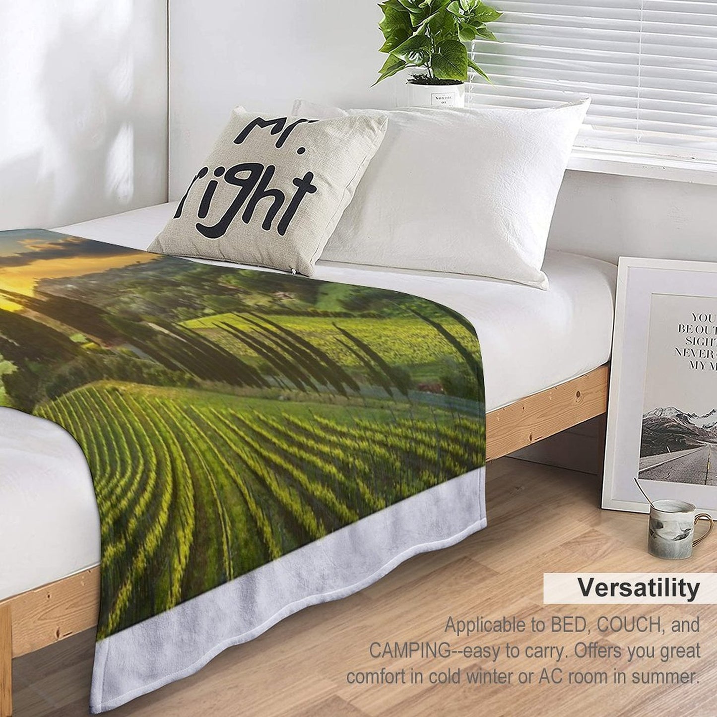 Vineyards And Countryside Landscape in Maremma. Tuscany Compact Throw Blanket