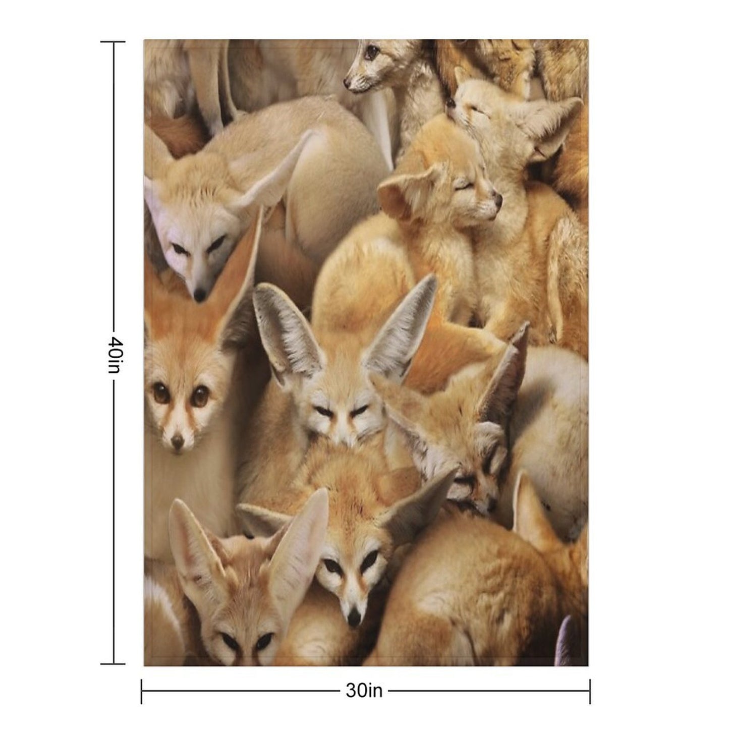 Fennecs Anti-pilling Throw Blanket