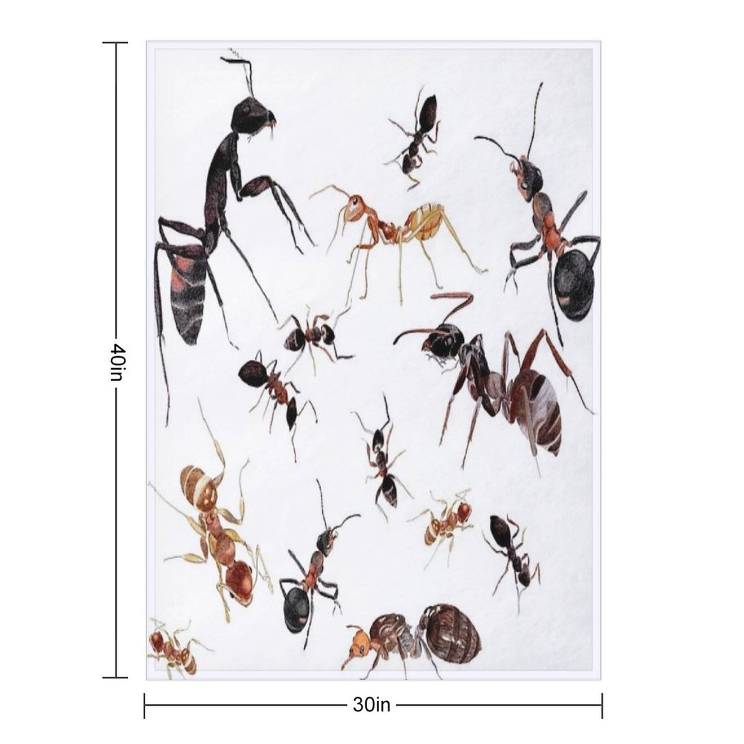 A Medley of Ants Anti-pilling Throw Blanket