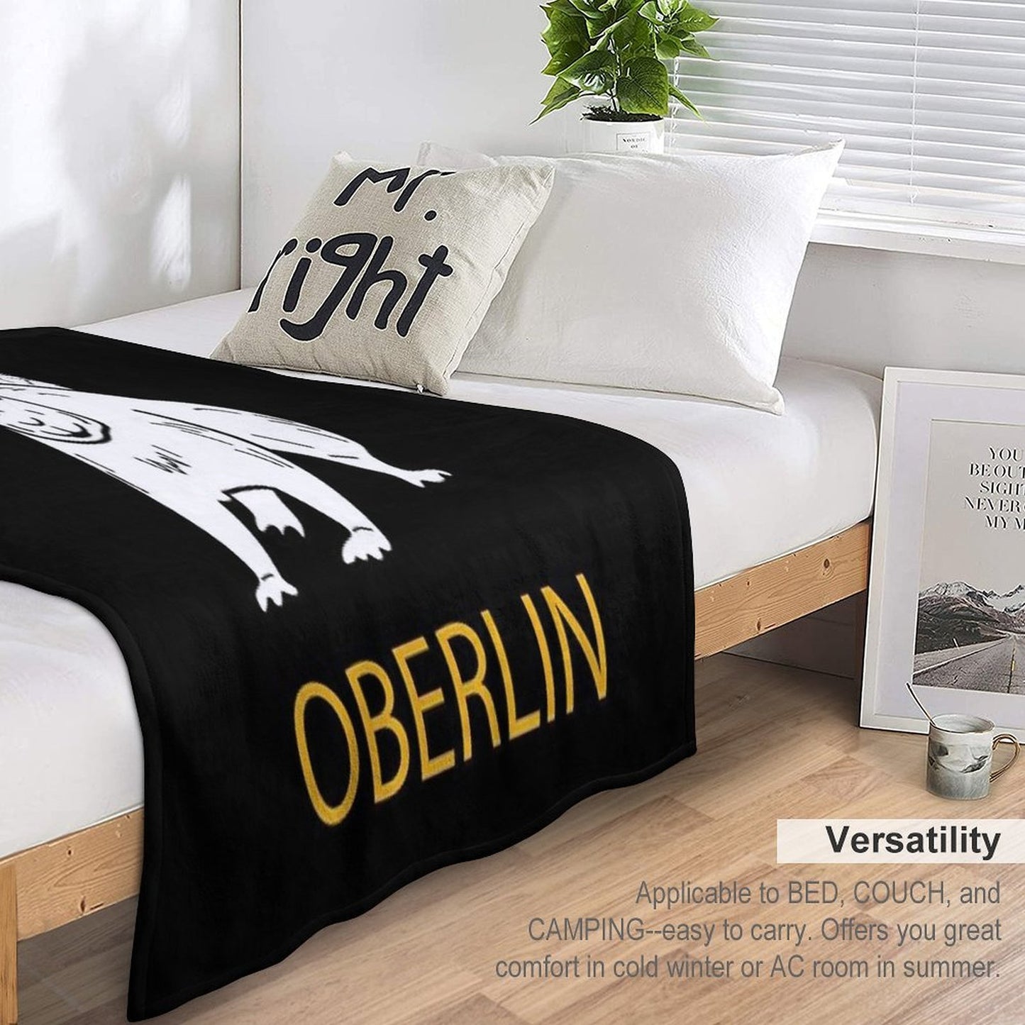 Cute Oberlin White Squirrel Easy Care Throw Blanket