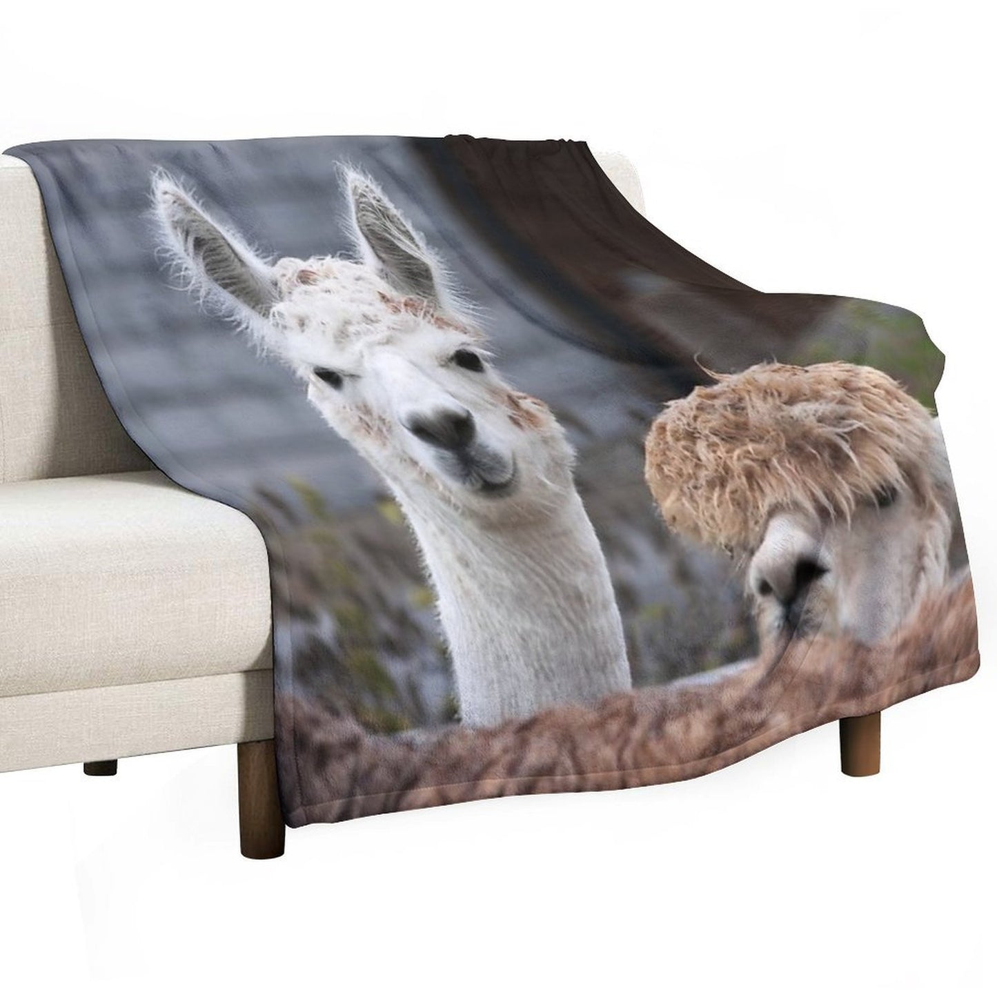 Curious Alpacas Cute Animals Travel-friendly Throw Blanket