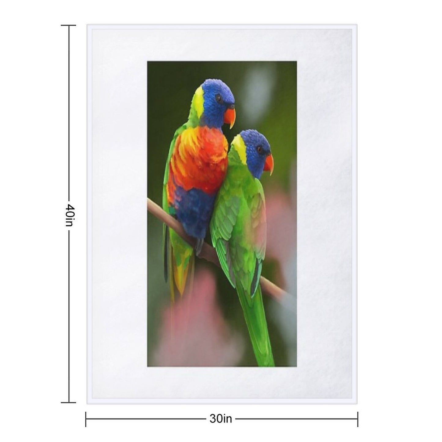 Rainbow Lorikeets All-season Throw Blanket