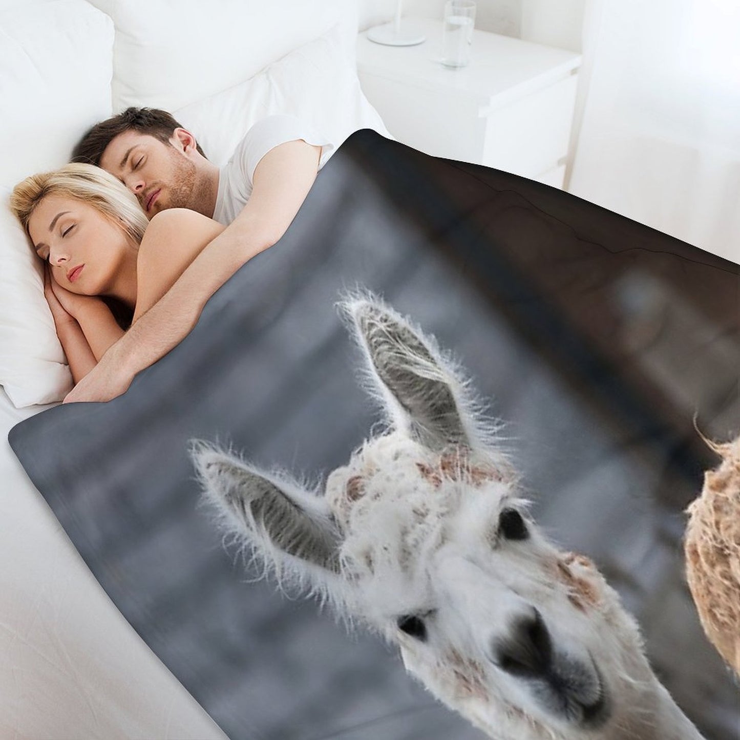 Curious Alpacas Cute Animals Travel-friendly Throw Blanket