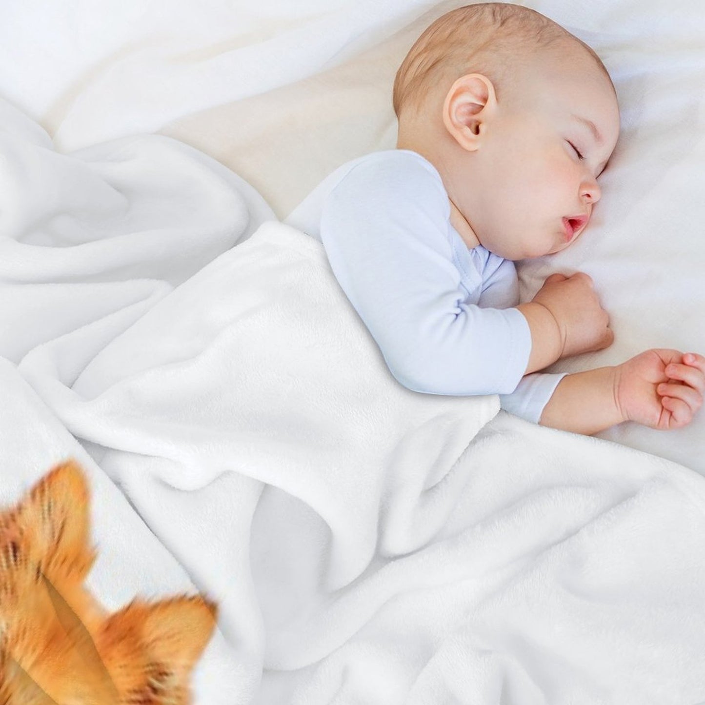 Cute Red Pomeranian Wrinkle-free Throw Blanket