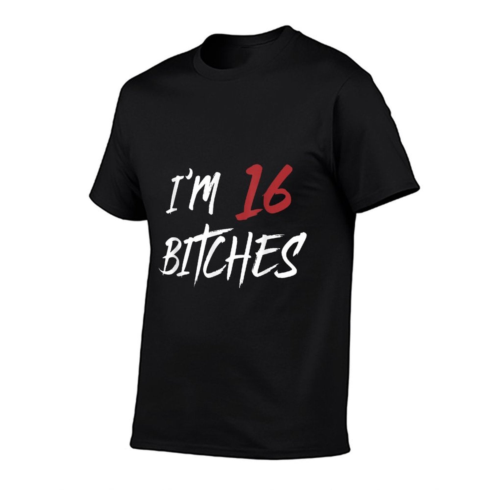 I Am 16 Bitches 16th Birthday Cool Fun  Wrinkle-resistant T-Shirt