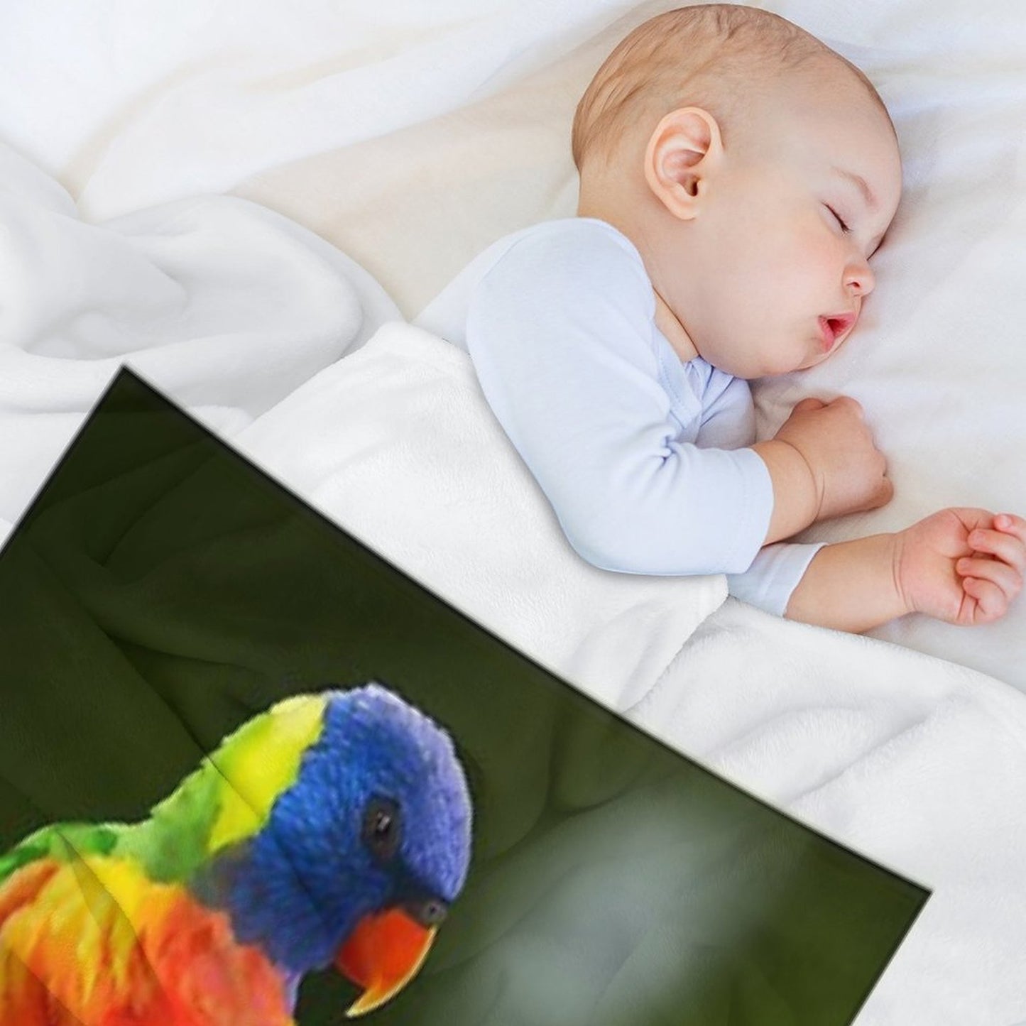 Rainbow Lorikeets All-season Throw Blanket