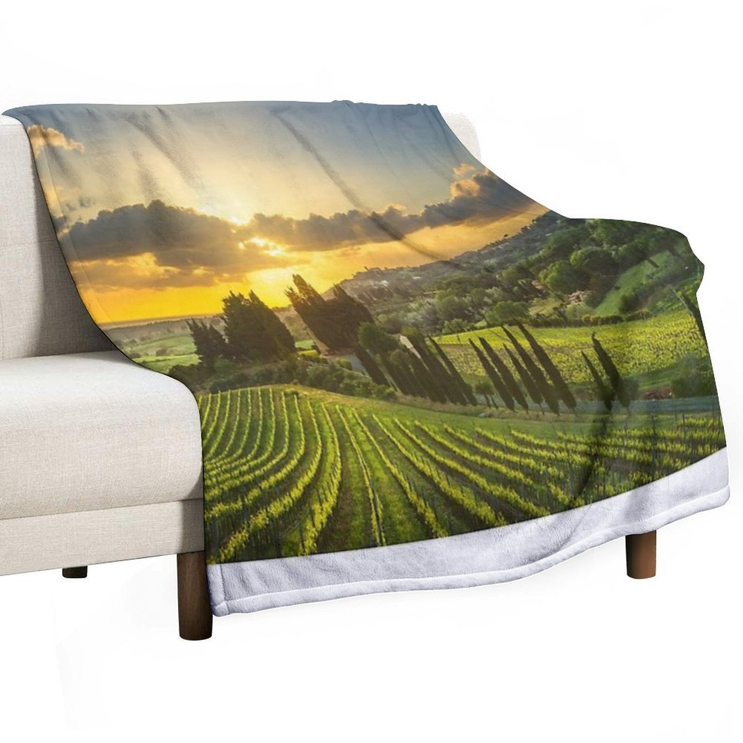 Vineyards And Countryside Landscape in Maremma. Tuscany Compact Throw Blanket