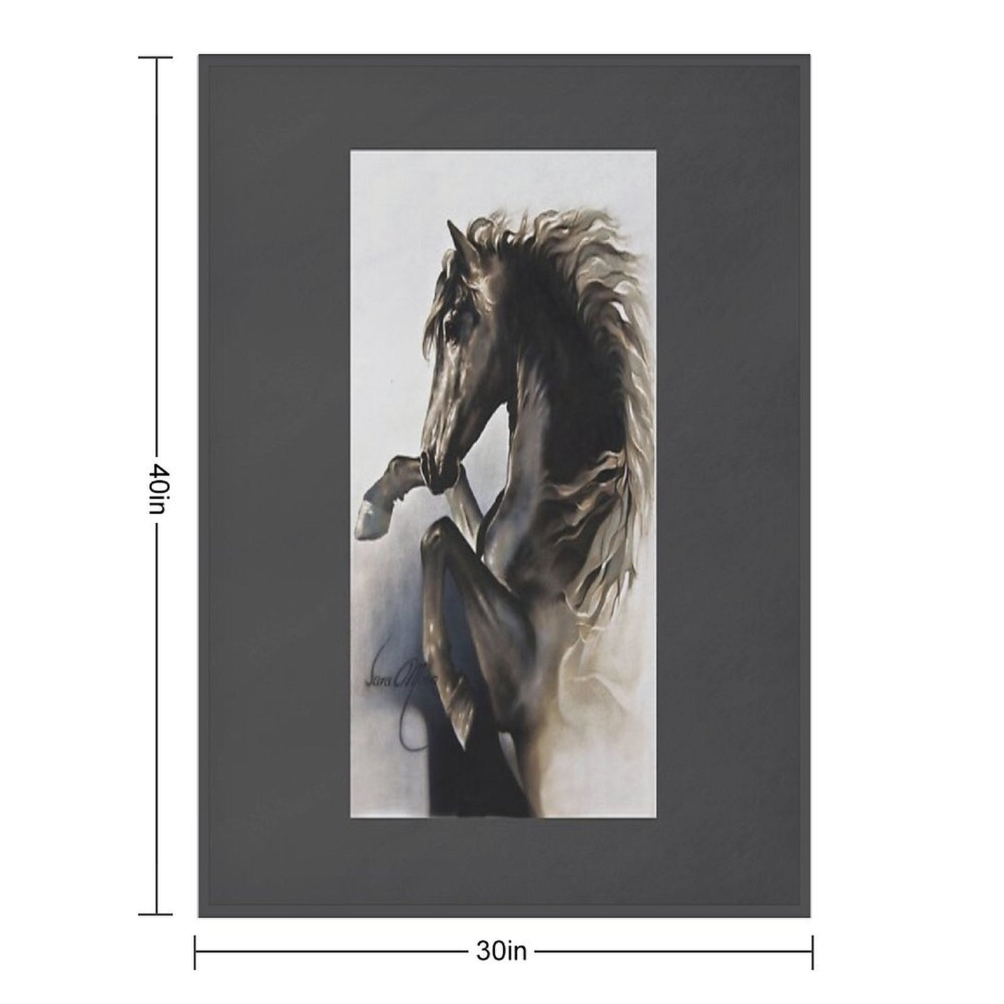 Black Fury Sustainable Throw Blanket