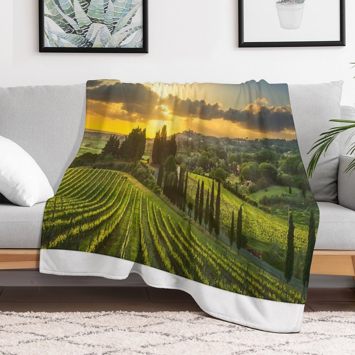 Vineyards And Countryside Landscape in Maremma. Tuscany Compact Throw Blanket