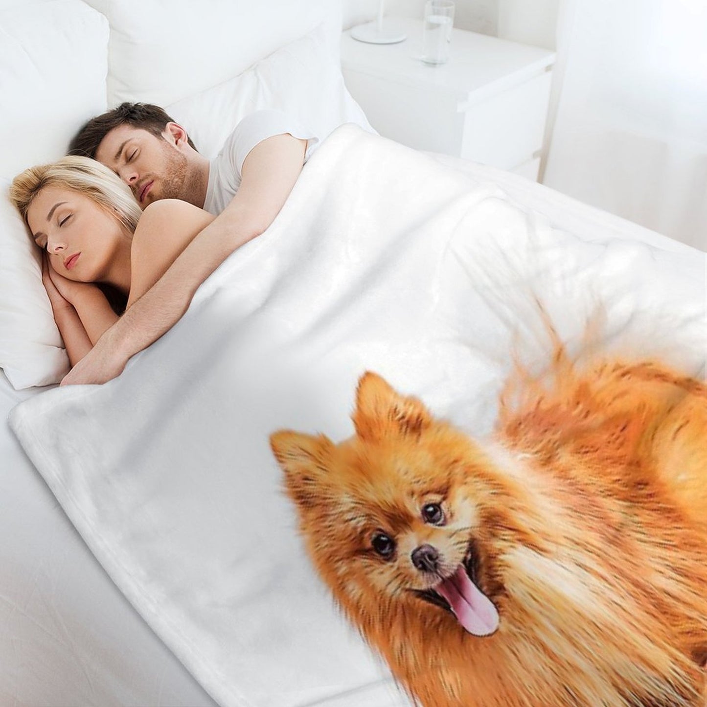 Cute Red Pomeranian Wrinkle-free Throw Blanket