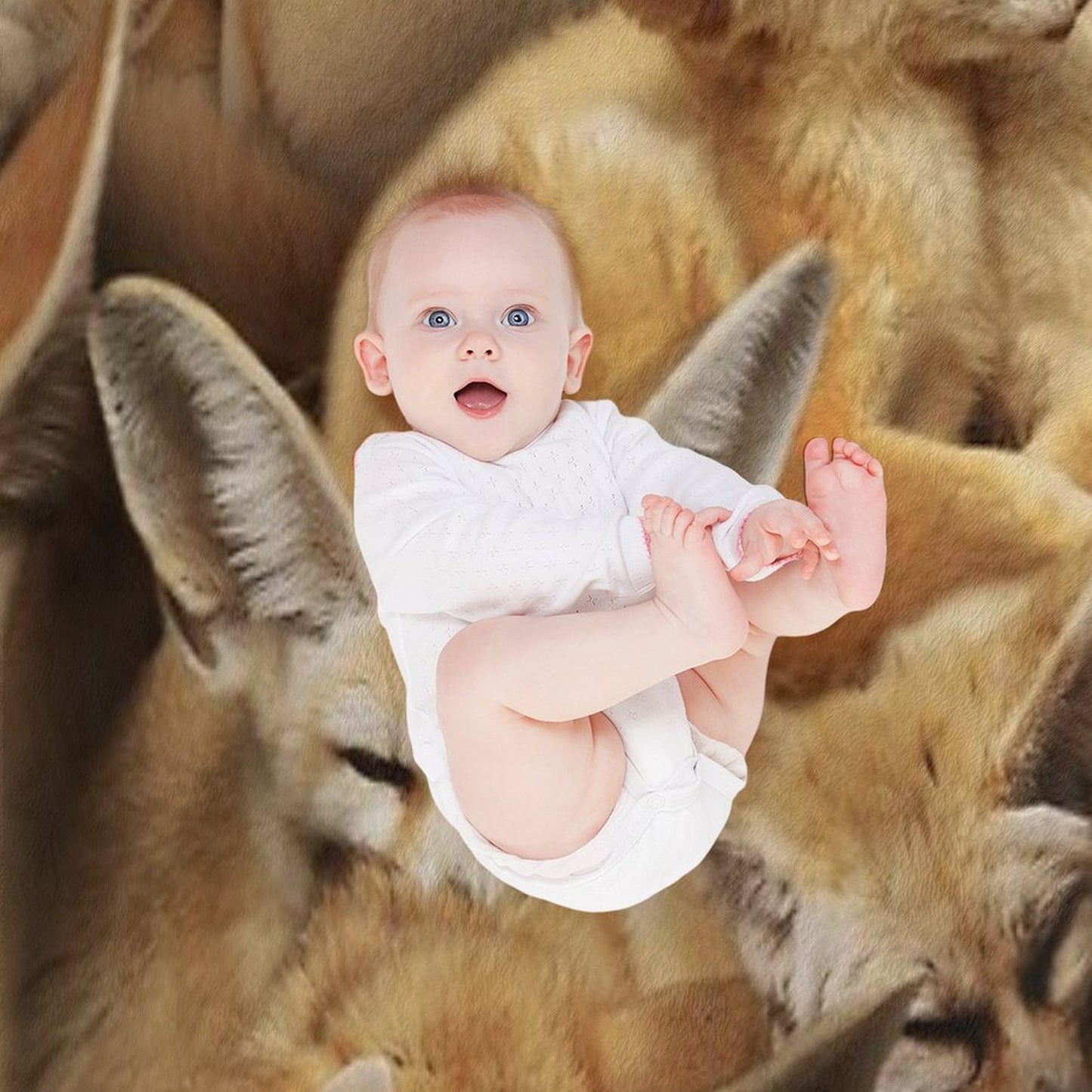 Fennecs Anti-pilling Throw Blanket
