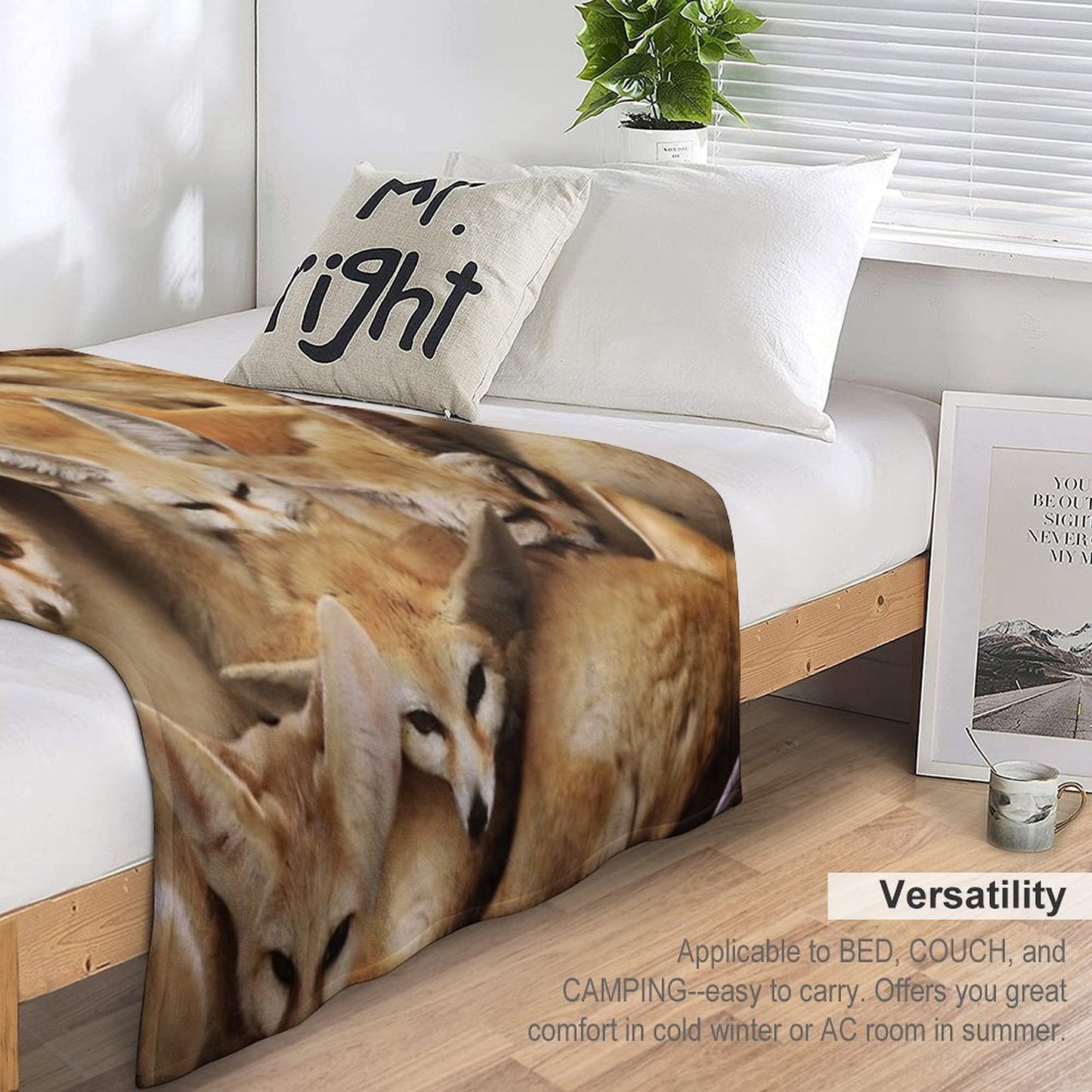 Fennecs Anti-pilling Throw Blanket