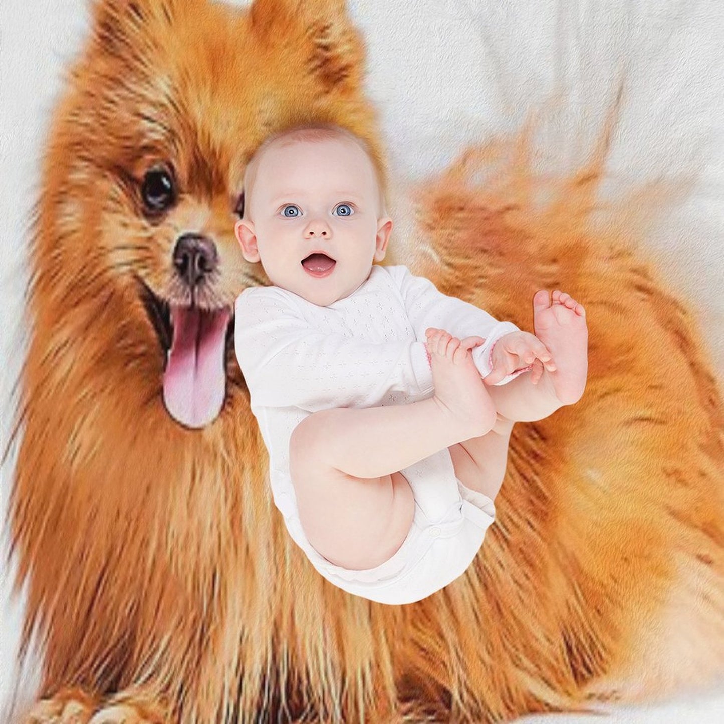 Cute Red Pomeranian Wrinkle-free Throw Blanket
