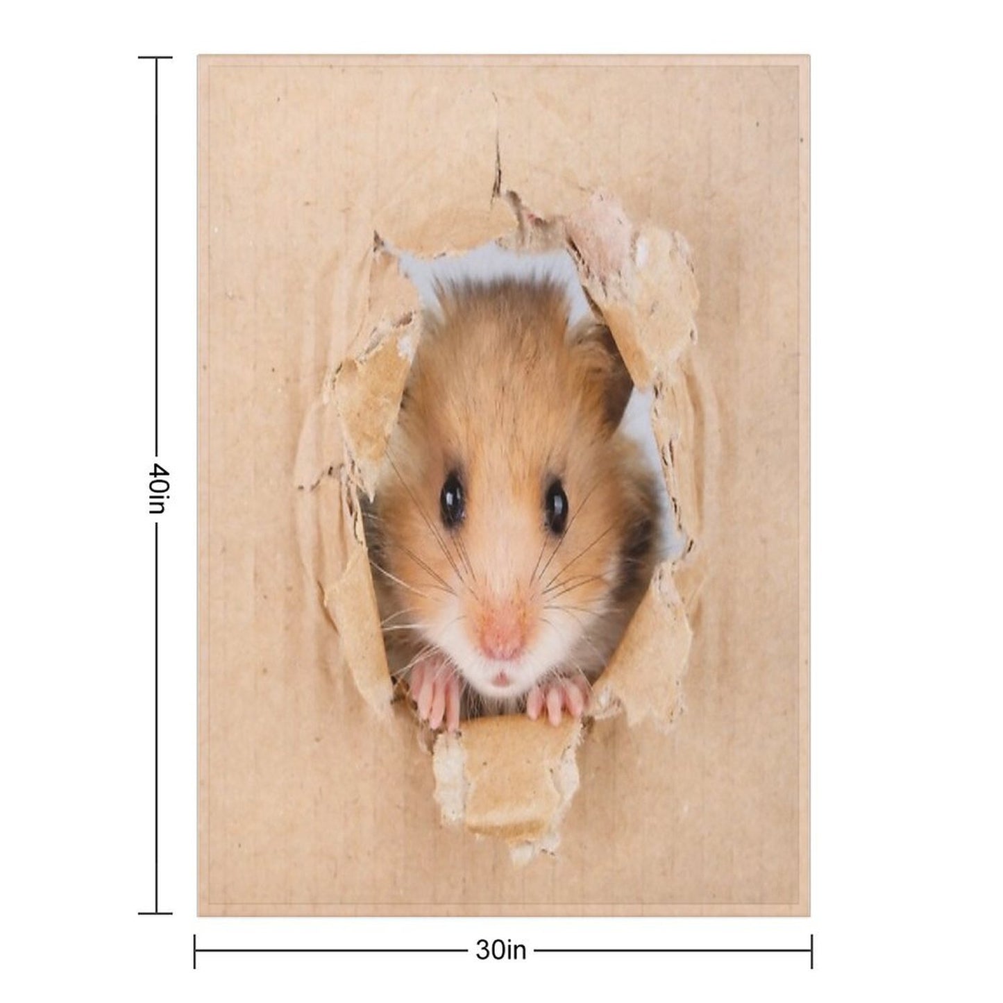 Cute Hamster Multi-functional Throw Blanket