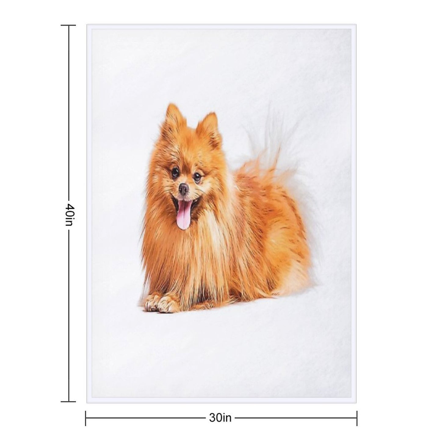 Cute Red Pomeranian Wrinkle-free Throw Blanket