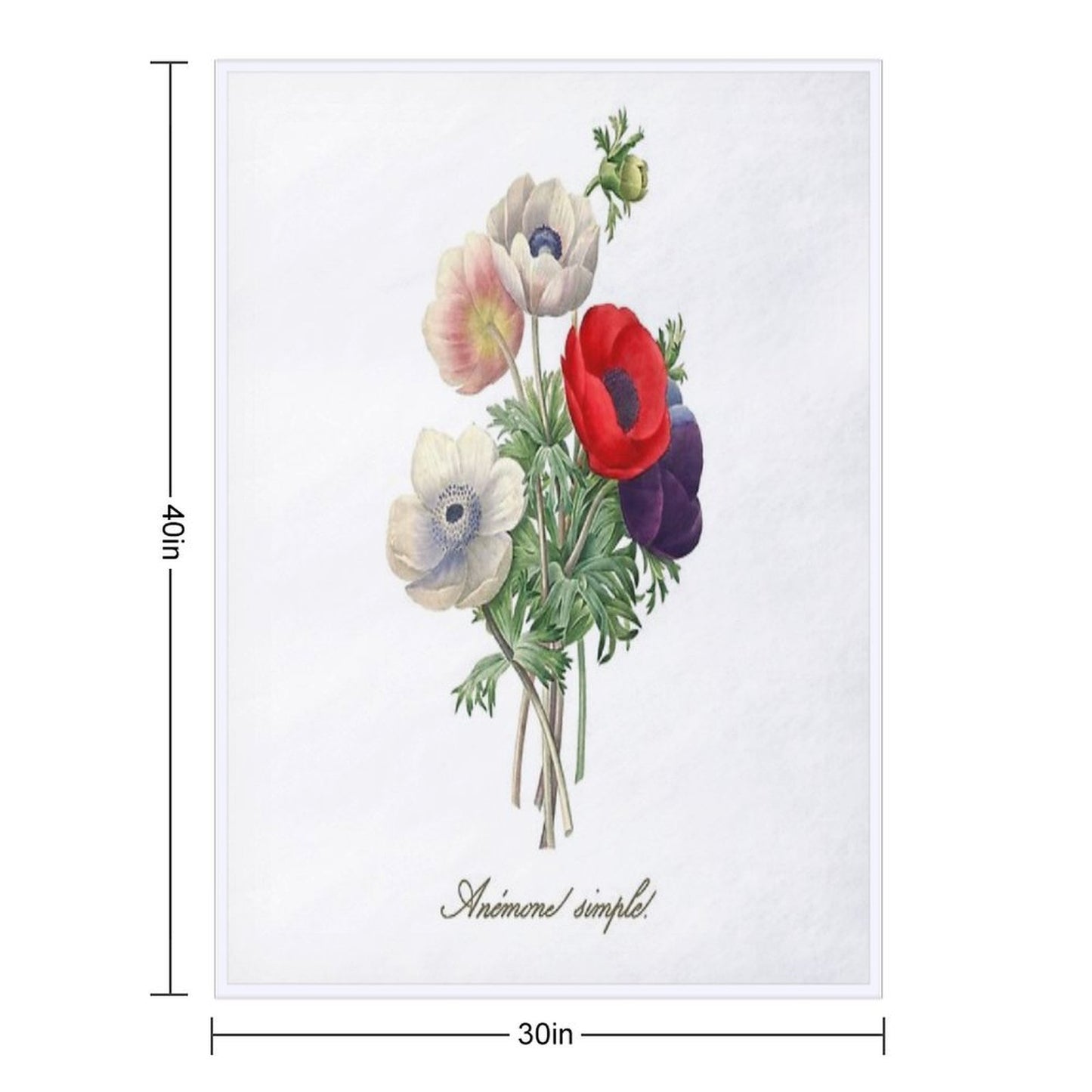 Anemone Illustration Sustainable Throw Blanket