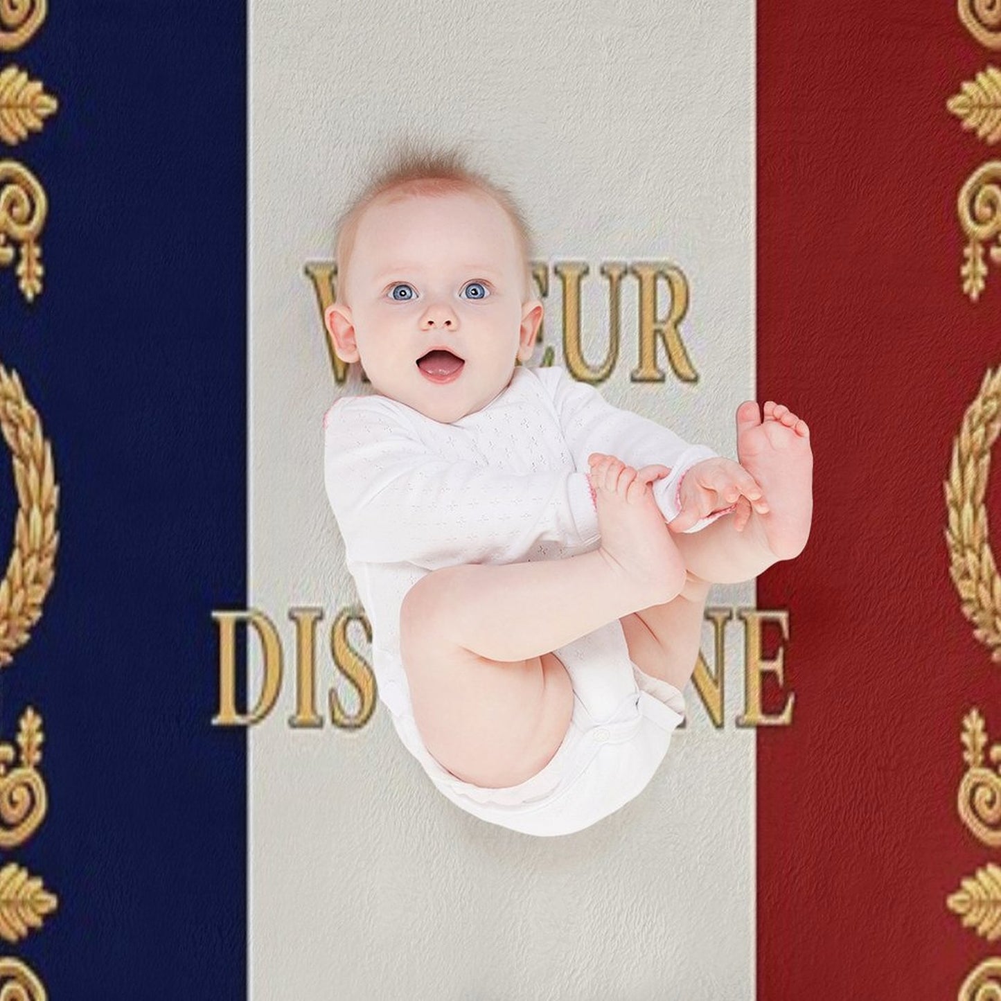 Napoleonic French Regimental Flag Valeur Et Discipline Lightweight Throw Blanket