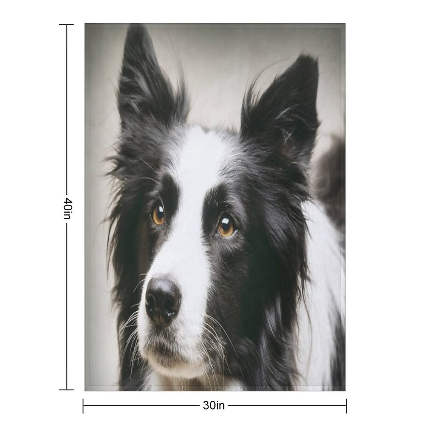 Working Border Collie Wrinkle-free Throw Blanket