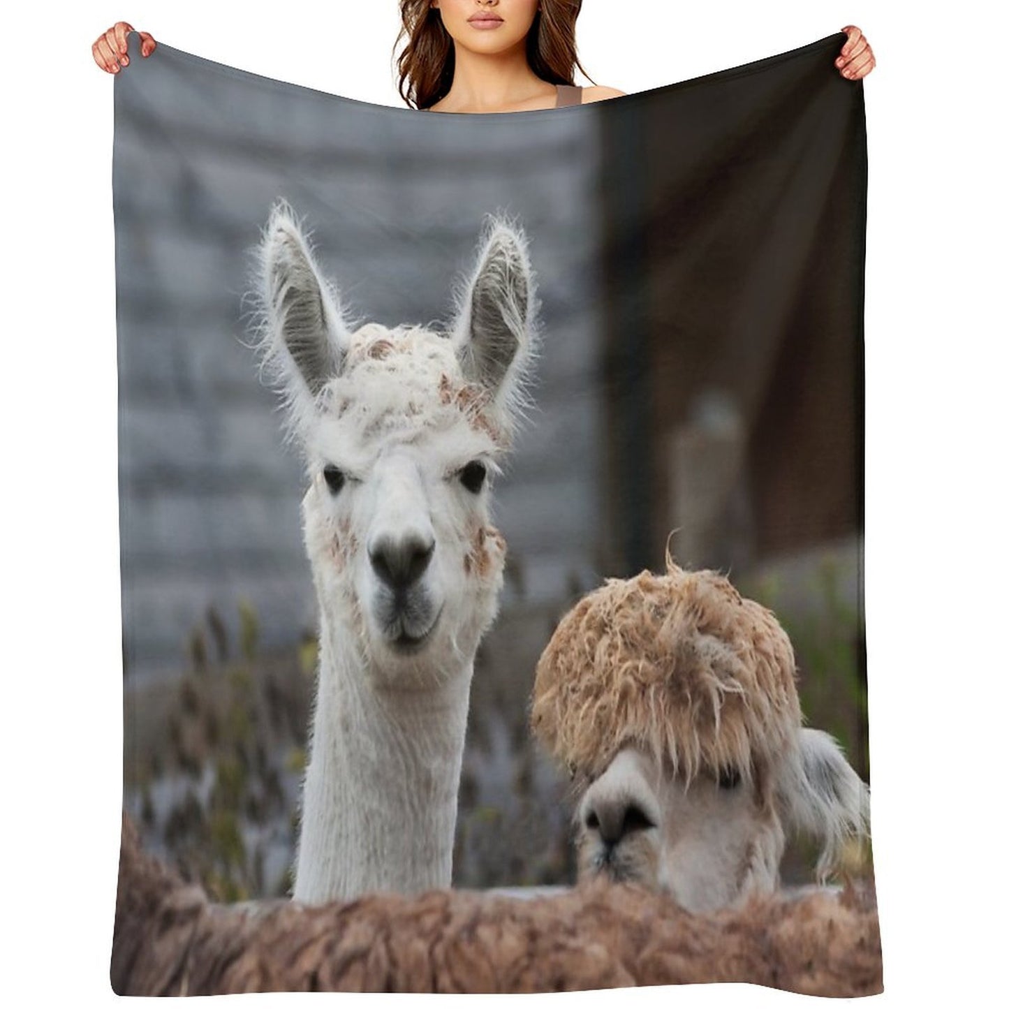 Curious Alpacas Cute Animals Travel-friendly Throw Blanket