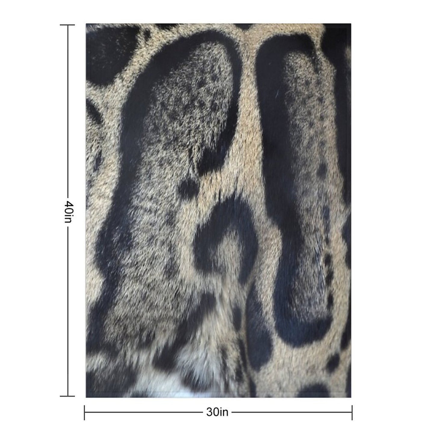 Clouded Leopard Print Velvety-soft Throw Blanket