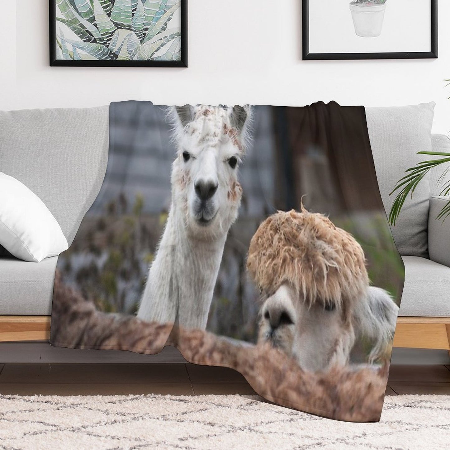 Curious Alpacas Cute Animals Travel-friendly Throw Blanket
