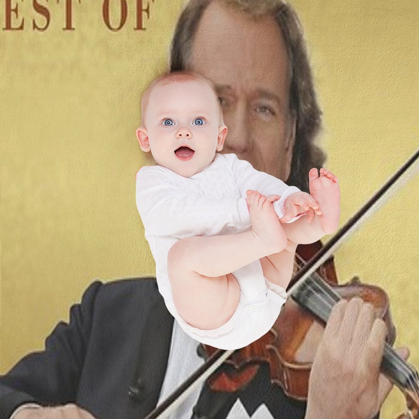 Andre Rieu Best Of Andre Rieu Easy Care Throw Blanket