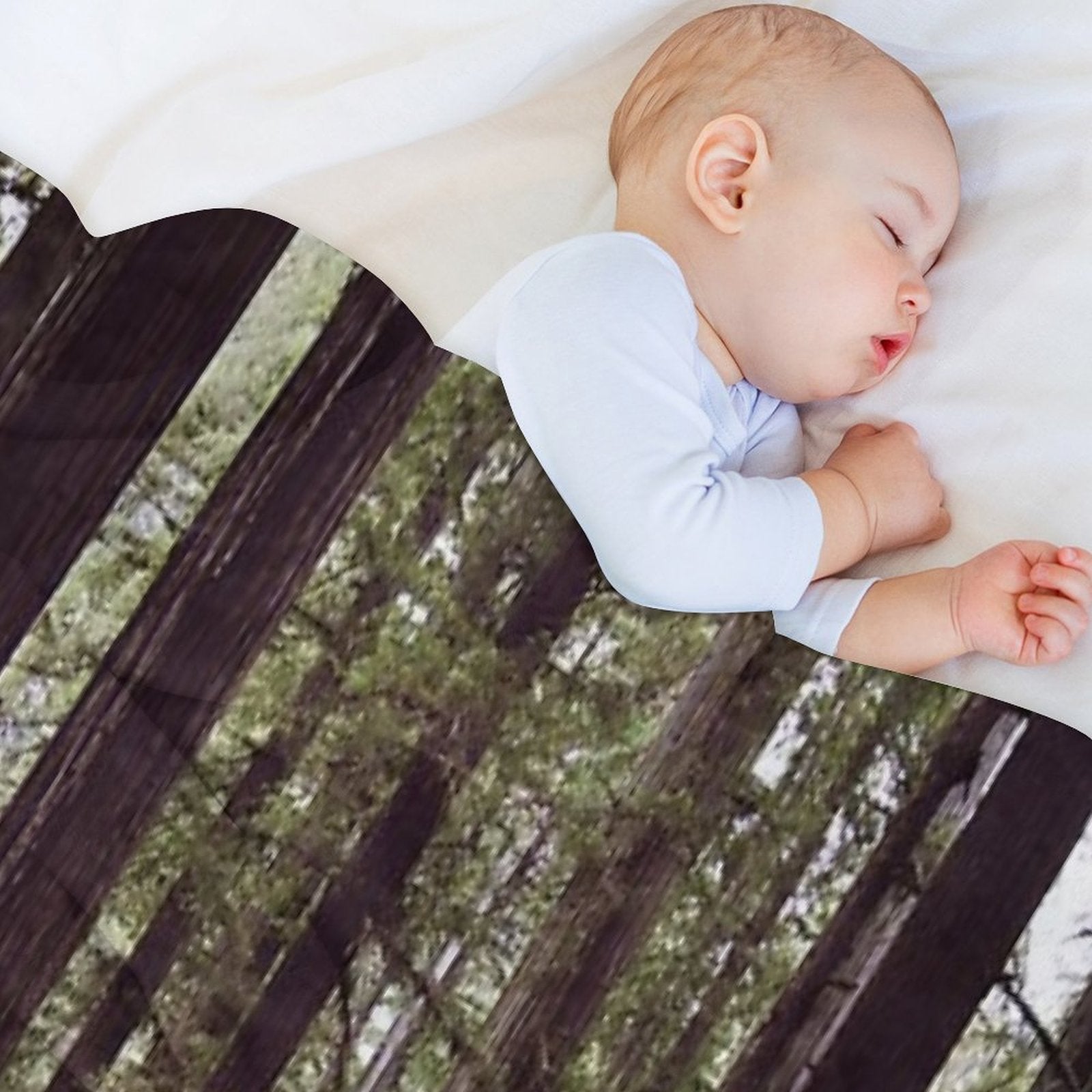 Redwood Forest Easy Care Throw Blanket