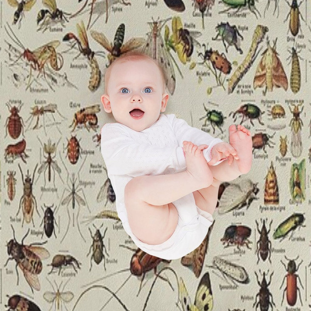 Insects Chart. Scientific Illustration, Text in French Eco-conscious Throw Blanket