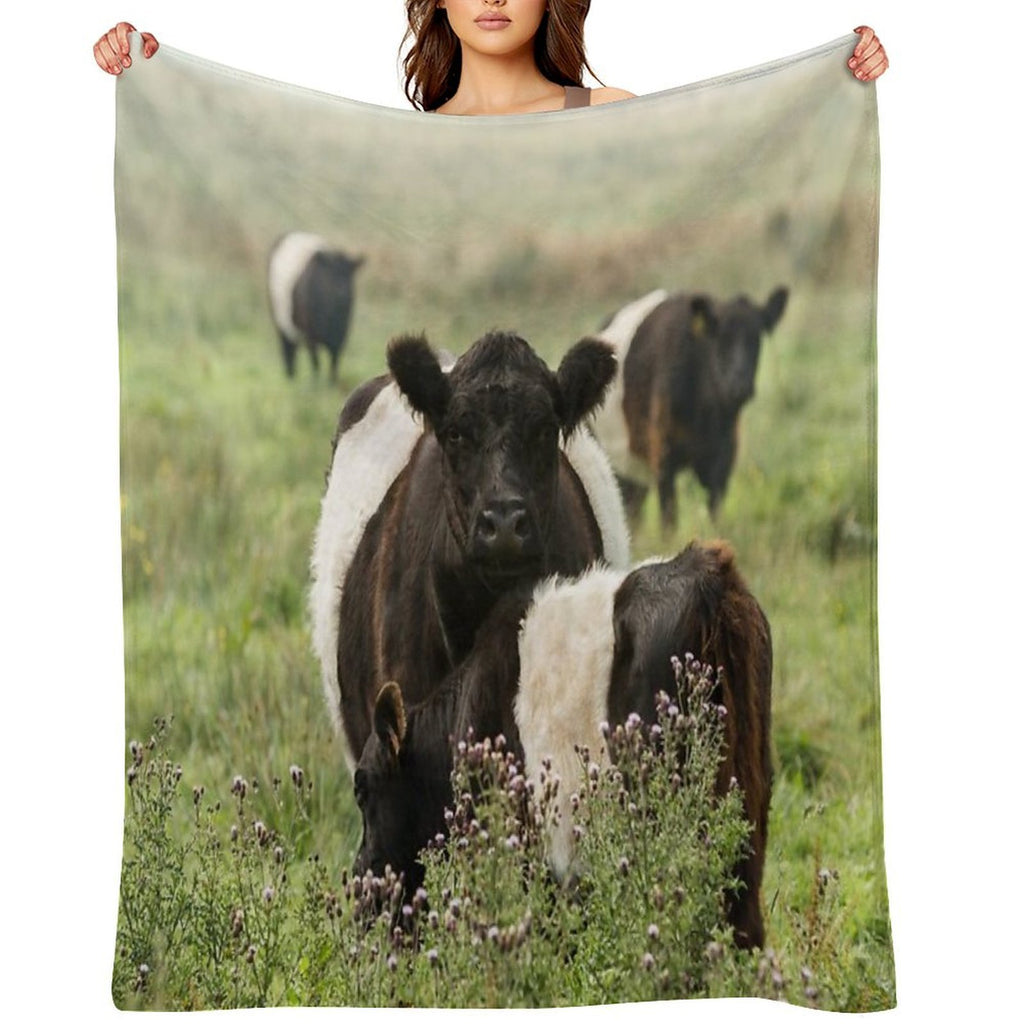 Belted Galloway Cows Quick-dry Throw Blanket