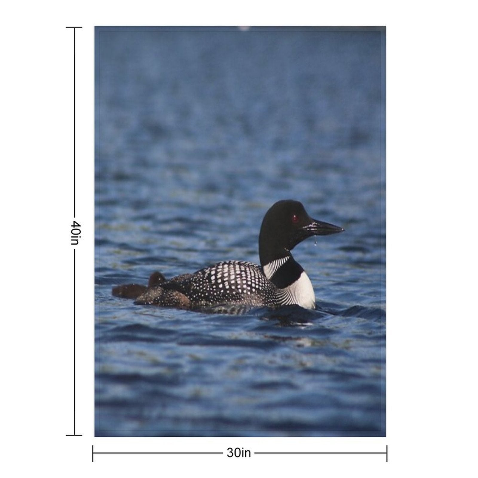 Common Loon Plush Throw Blanket