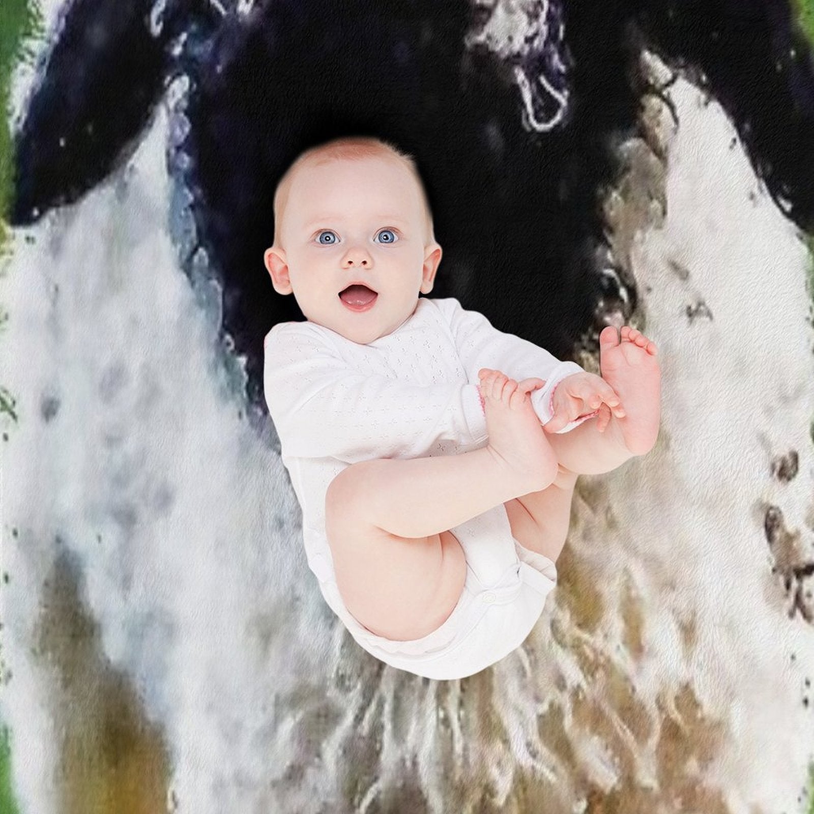 Swiss Valais Blacknose Sheep, Black Faced Sheep, Cute Baby Farm Animal, Walliser Schwarznasenschaf, Cute Fluffy Sheep Comfort Throw Blanket