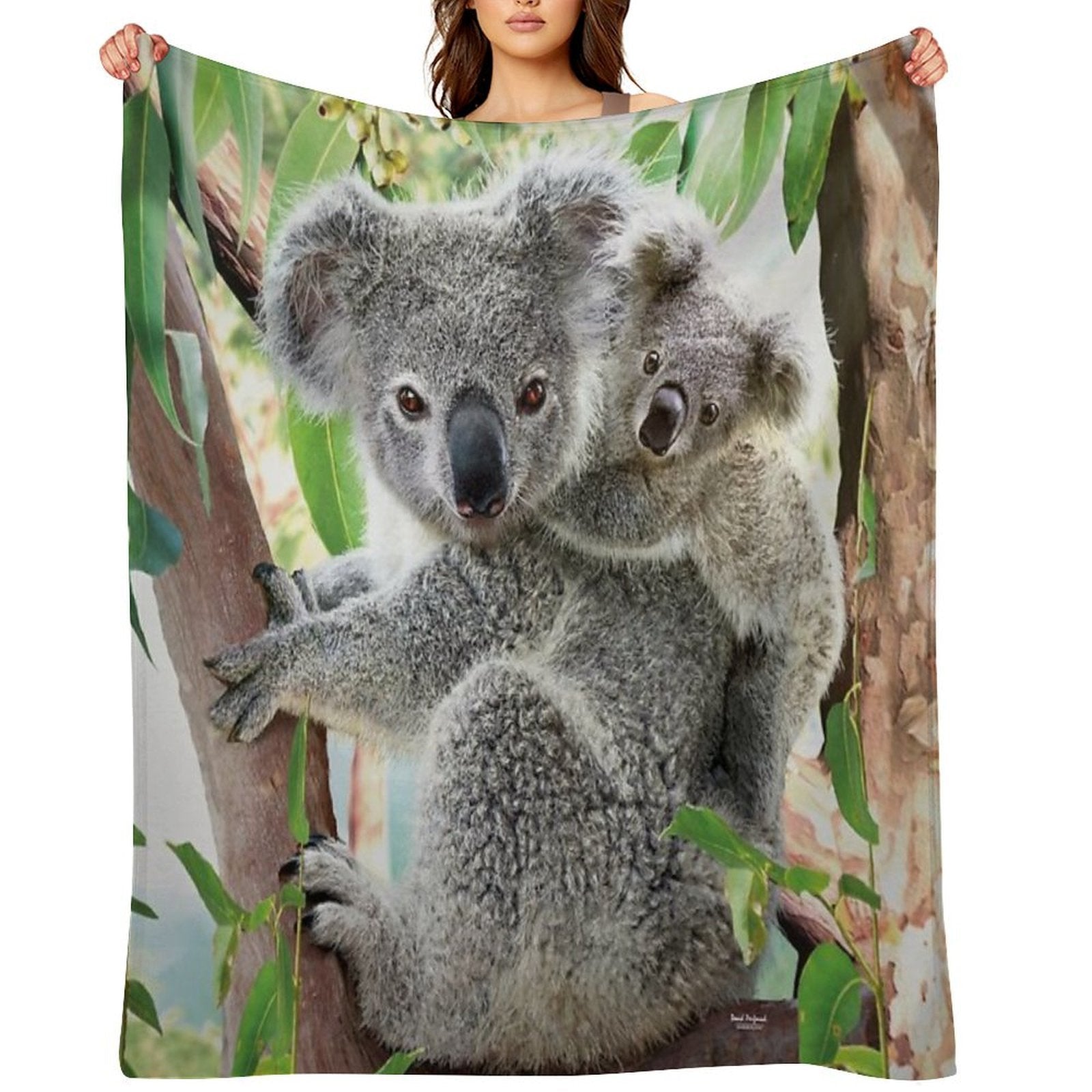 Koala Cuddles Velvety-soft Throw Blanket