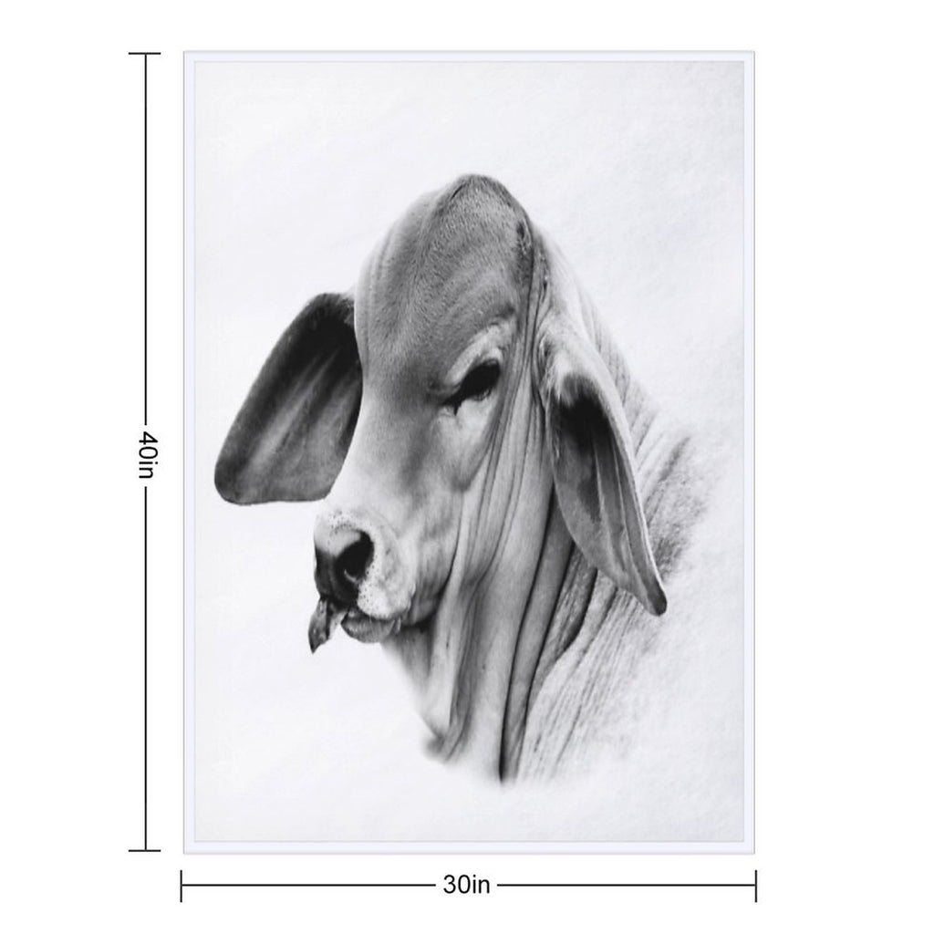BRAHMAN CALF PORTRAIT, WALL ART AND DESIGNS Compact Throw Blanket