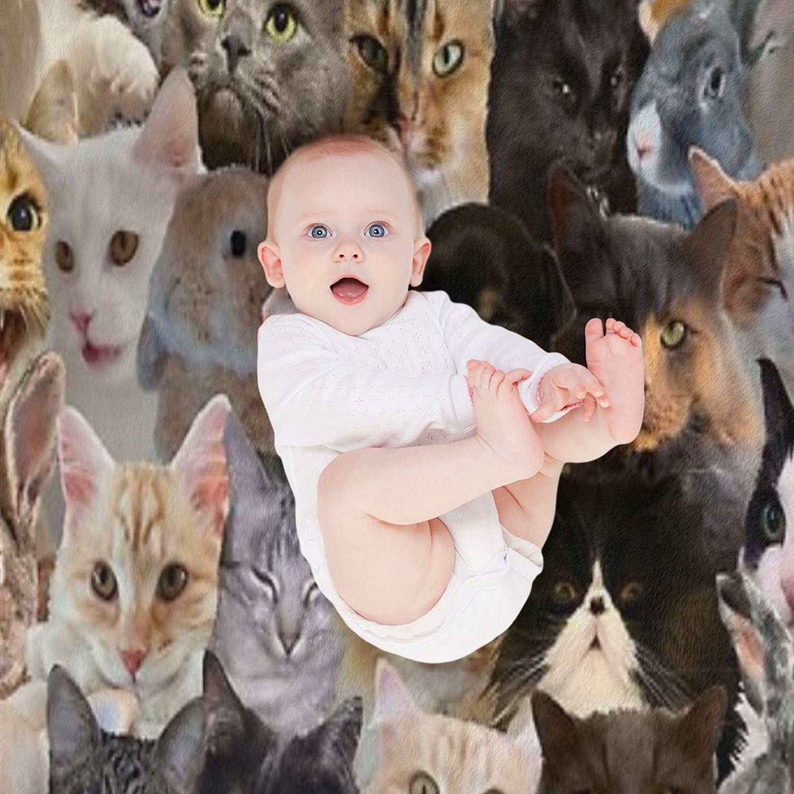 Cute Pets Pattern Compact Throw Blanket