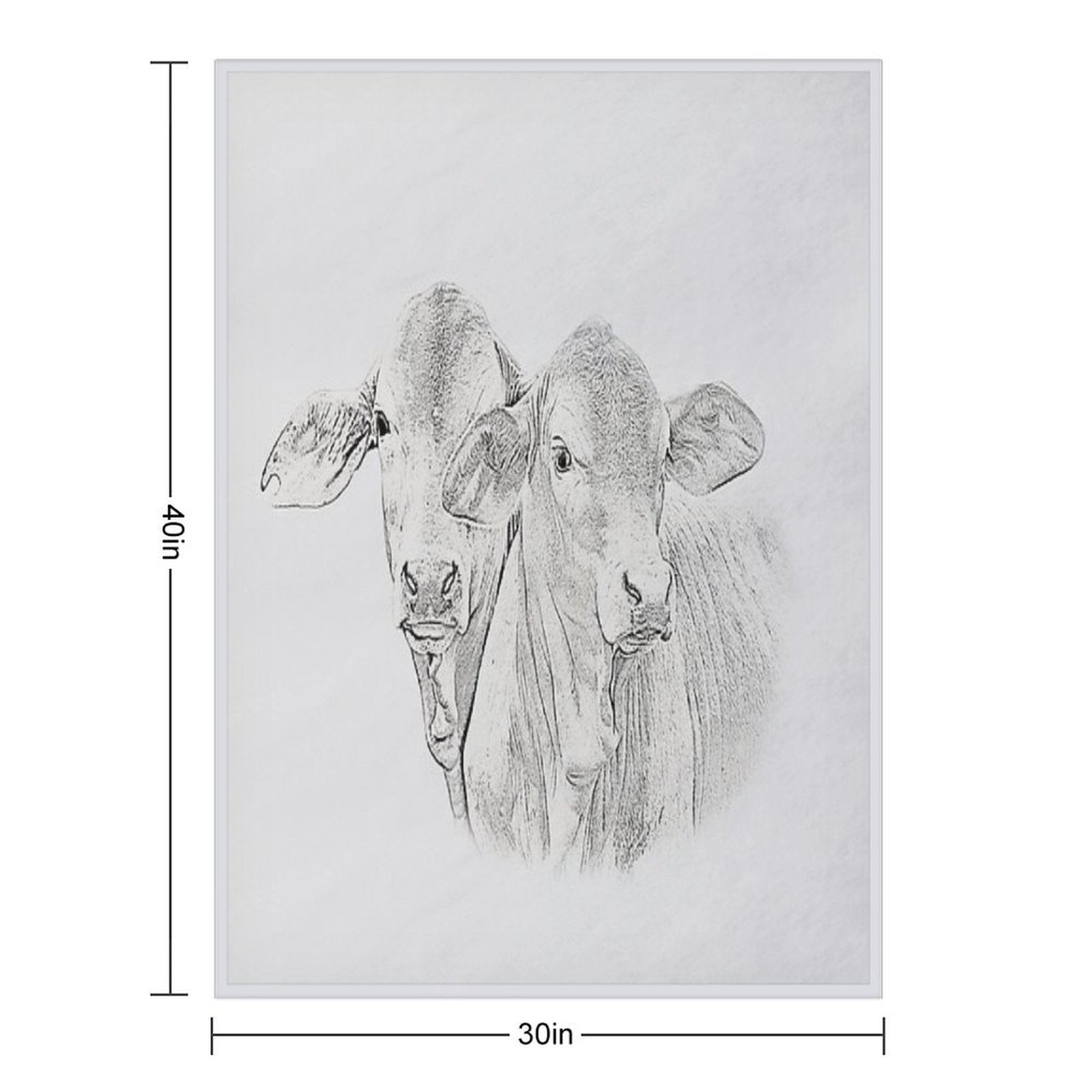 BRAHMAN CALVES, WALL ART Compact Throw Blanket