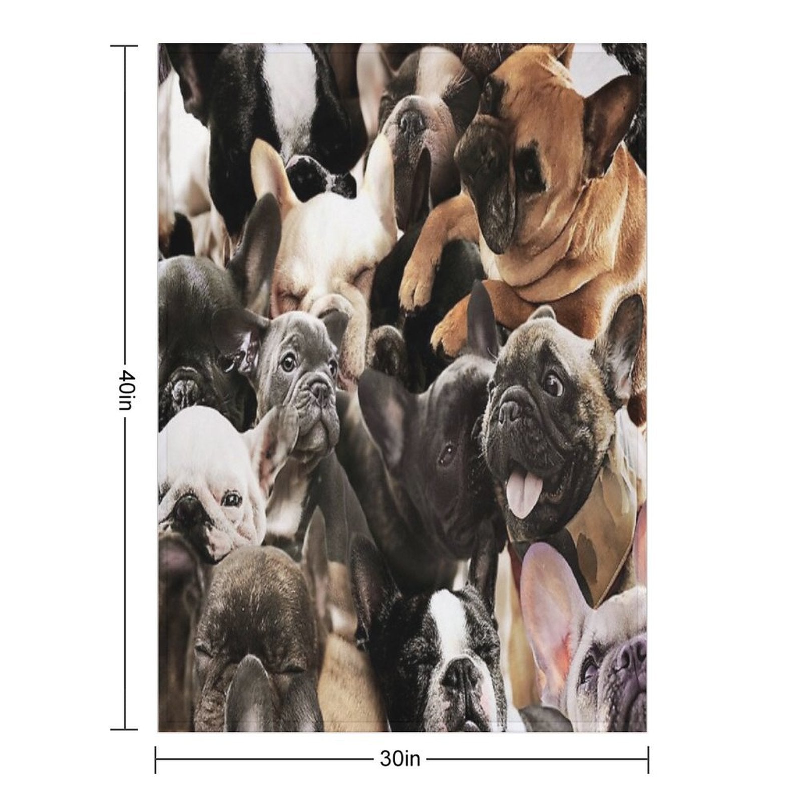 French Bulldogs Gift-ready Throw Blanket