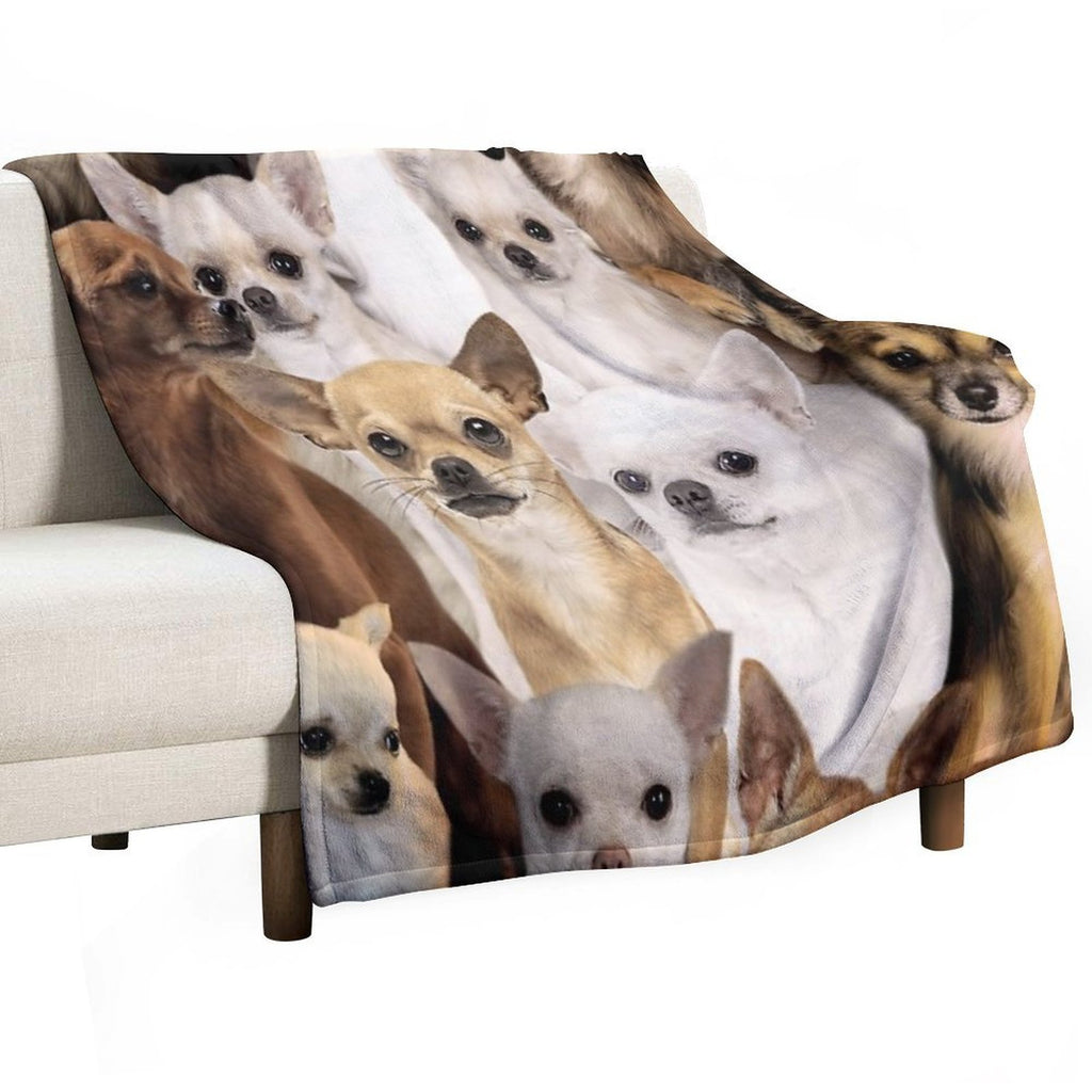 Chihuahuas Anti-pilling Throw Blanket