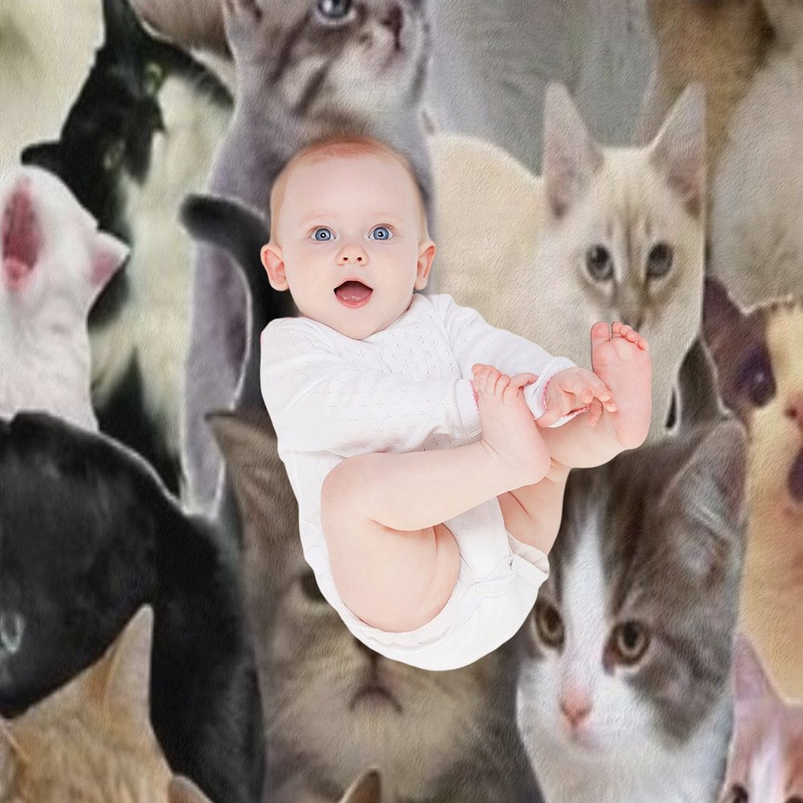 Cat Memes All-season Throw Blanket