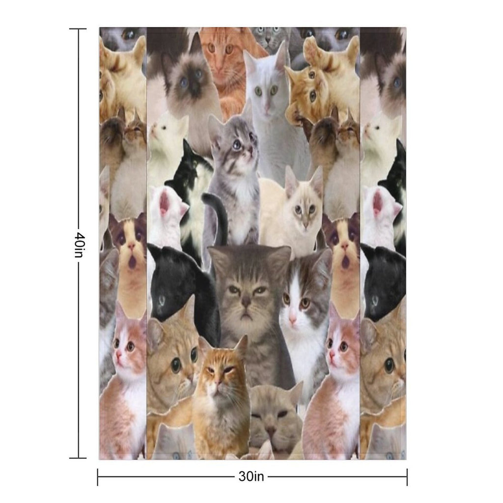 Cat Memes All-season Throw Blanket