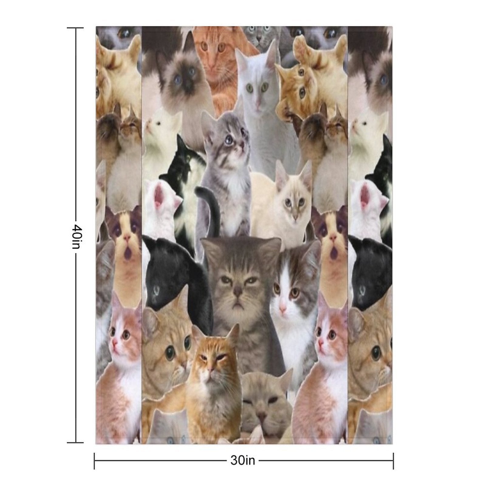 Cat Memes All-season Throw Blanket