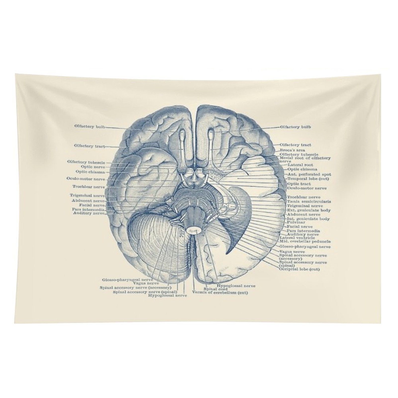 Brain Nervous System Diagram Tapestry